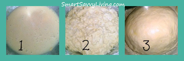 Homemade Yeast Rolls or Bread Recipe