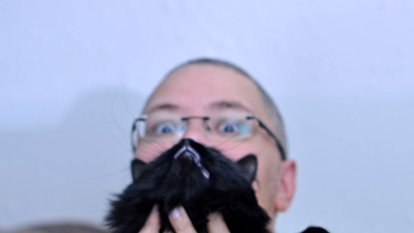 What's All this Meowing About Cat Bearding and Cat Litter? #shop