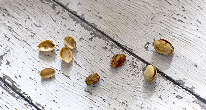 Why Pistachios Are My New Favorite Healthy Snack | SmartSavvyLiving.com