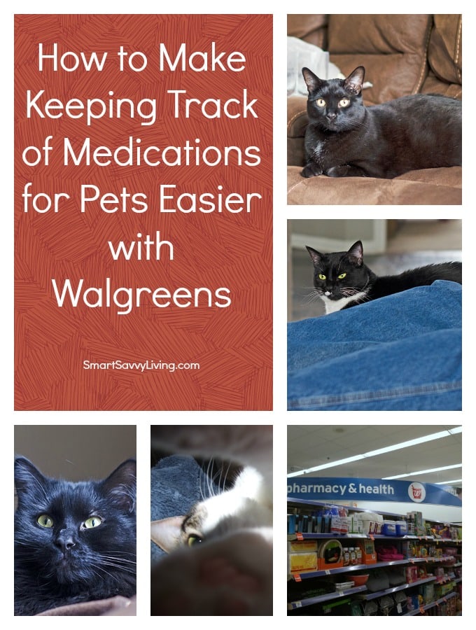How to Make Keeping Track of Medications for Pets Easier #shop #cbias #WalgreensRx