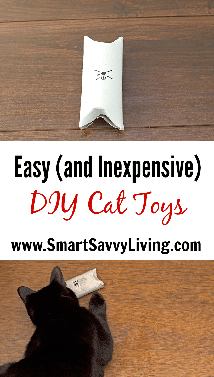 easy cat toys