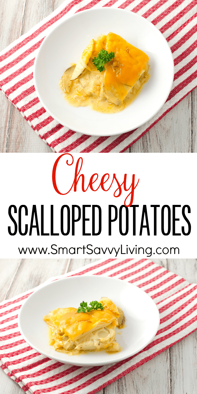 Cheesy Scalloped Potatoes Recipe | This easy scalloped potatoes recipe is full of cheesy goodness. It’s great as a side dish for just about any meal, but especially during Thanksgiving and Christmas with ham or a standing rib roast. I’ll admit I even like to eat the leftovers for breakfast! Cheesy Scalloped Potatoes Recipe | This easy scalloped potatoes recipe is full of cheesy goodness. It’s great as a side dish for just about any meal, but especially during Thanksgiving and Christmas with ham or a standing rib roast. I’ll admit I even like to eat the leftovers for breakfast!